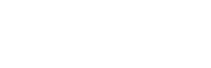 Precisit